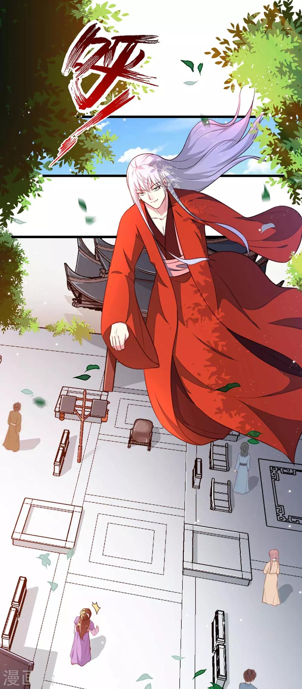 《天才小毒妃之芸汐传奇》第205话 探索身世 第12页