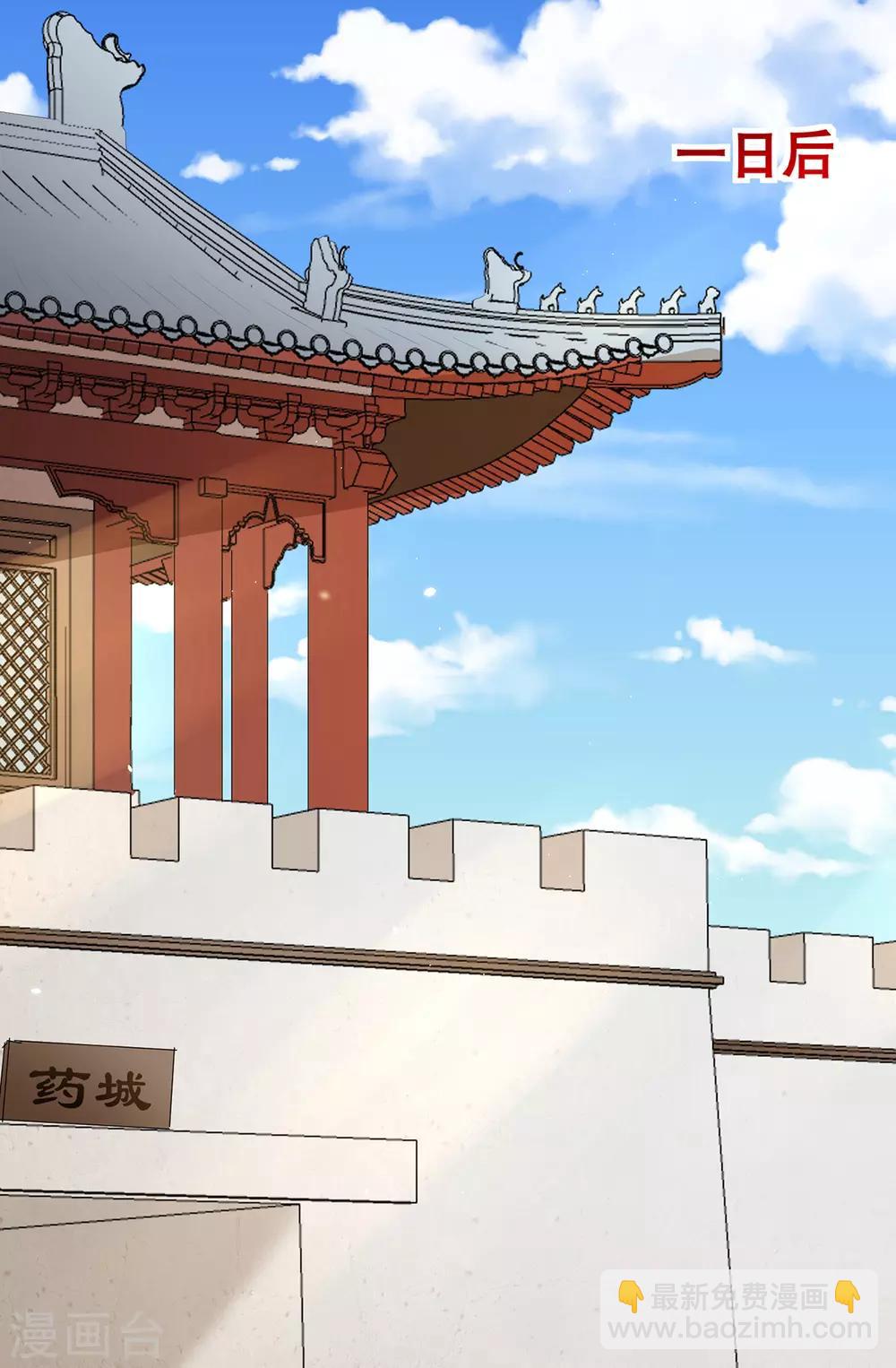 《天才小毒妃之芸汐传奇》第206话 初探身世之谜 第9页