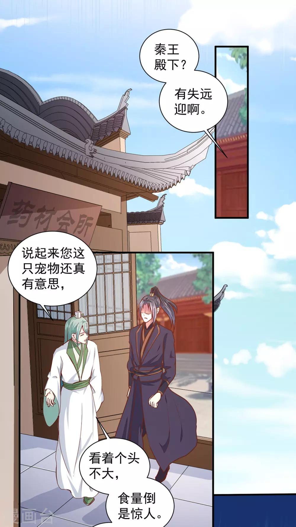 《天才小毒妃之芸汐传奇》第208话 充满谜团的哑婆婆 第8页