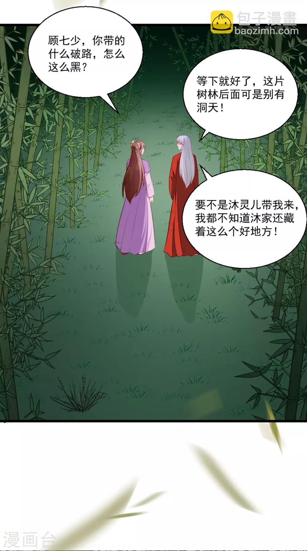 《天才小毒妃之芸汐传奇》第207话 神秘的哑婆婆 第25页