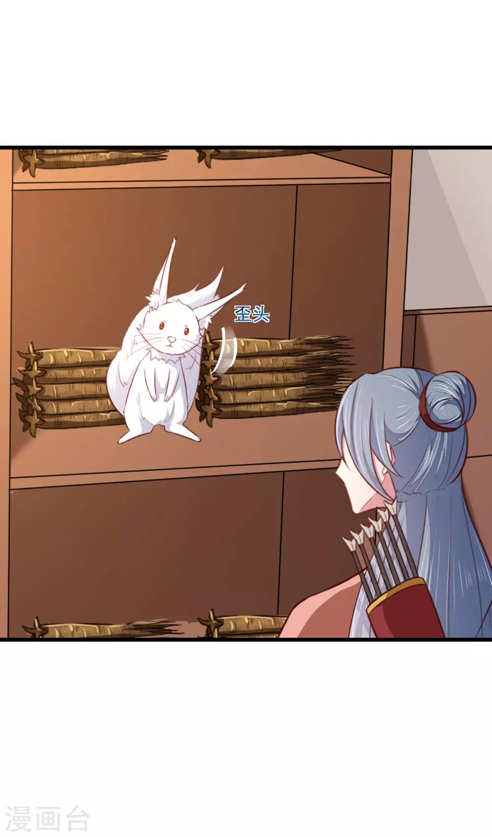 《天才小毒妃之芸汐传奇》第207话 神秘的哑婆婆 第3页
