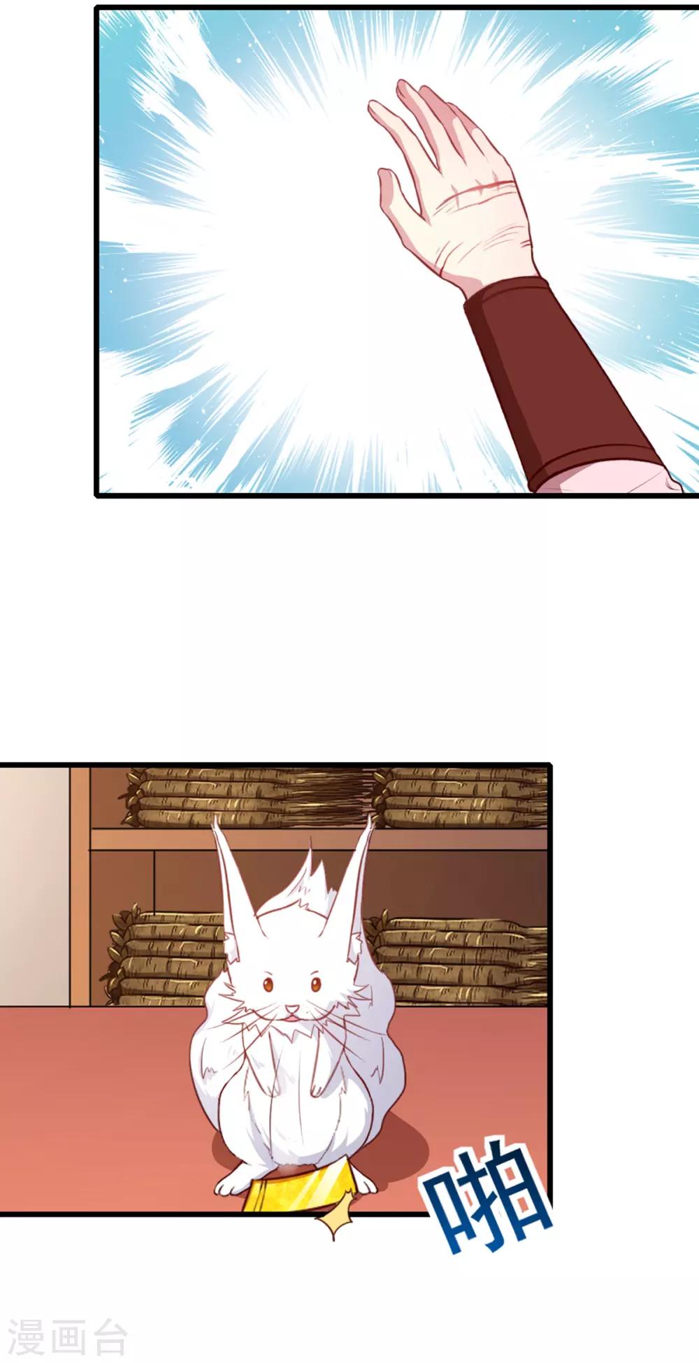 《天才小毒妃之芸汐传奇》第207话 神秘的哑婆婆 第7页