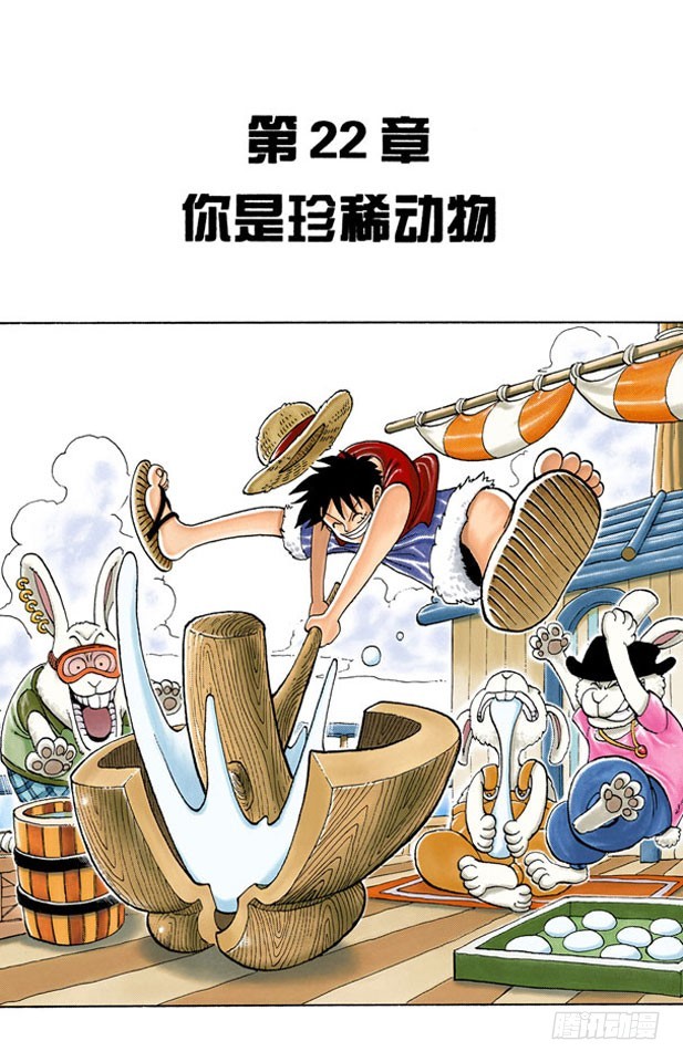 《航海王（全彩版）》你是珍惜动物 第1页