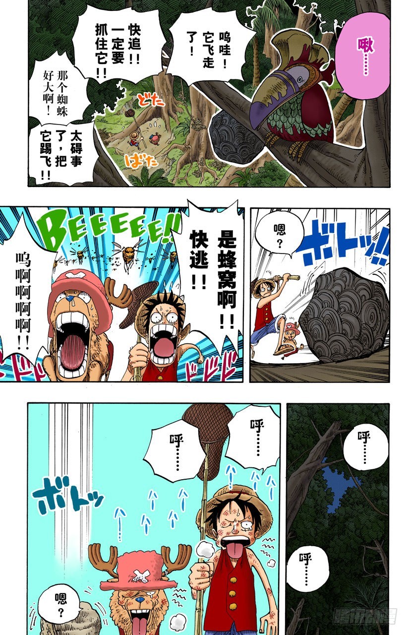 《航海王（全彩版）》追踪向南鸟 第17页