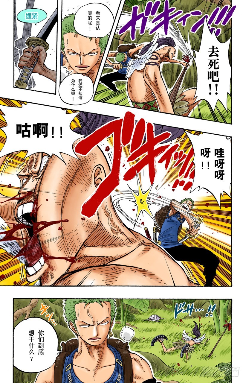 《航海王（全彩版）》各自的南方 第13页
