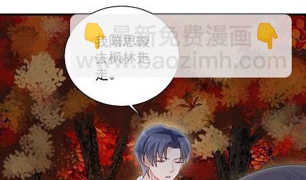 《惹上首席总裁千金归来》枫叶林的传说 第41页