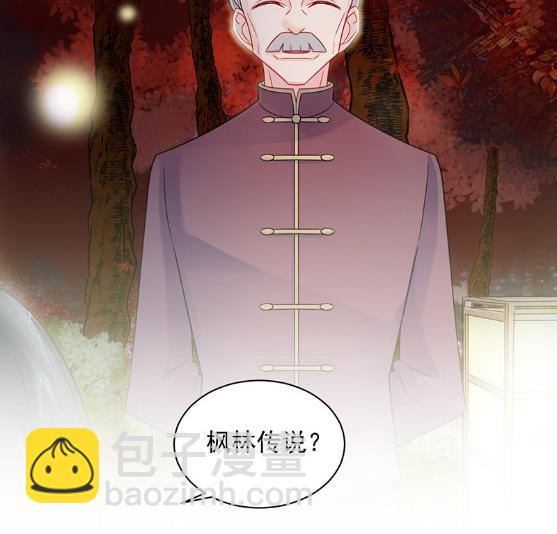 《惹上首席BOSS之千金归来》枫叶林的传说 第45页