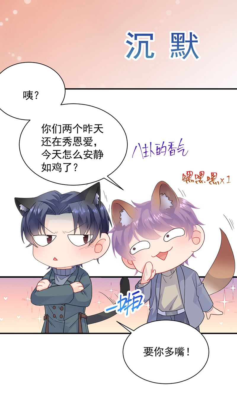 《惹上首席BOSS之千金归来》这里的戒指随便你挑 第31页