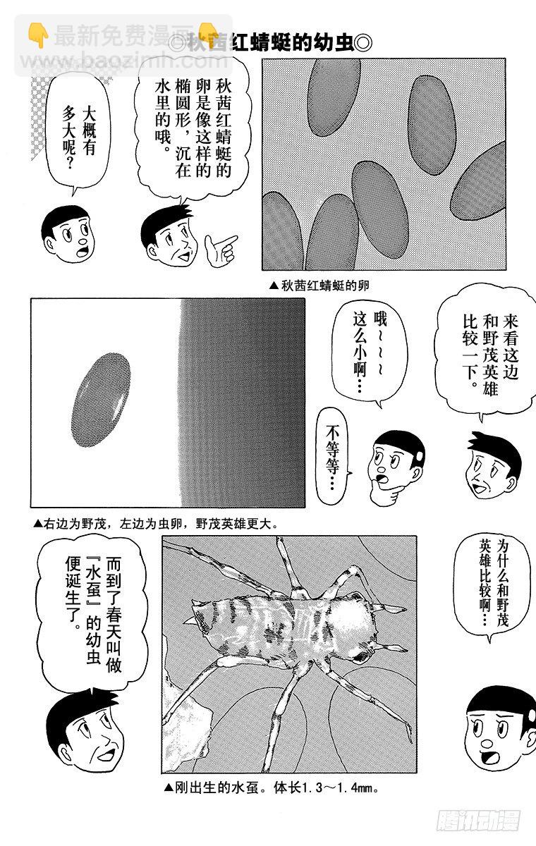 《搞笑漫画日和》第11幕 奇异昆虫系列 奇异红蜻 第8页