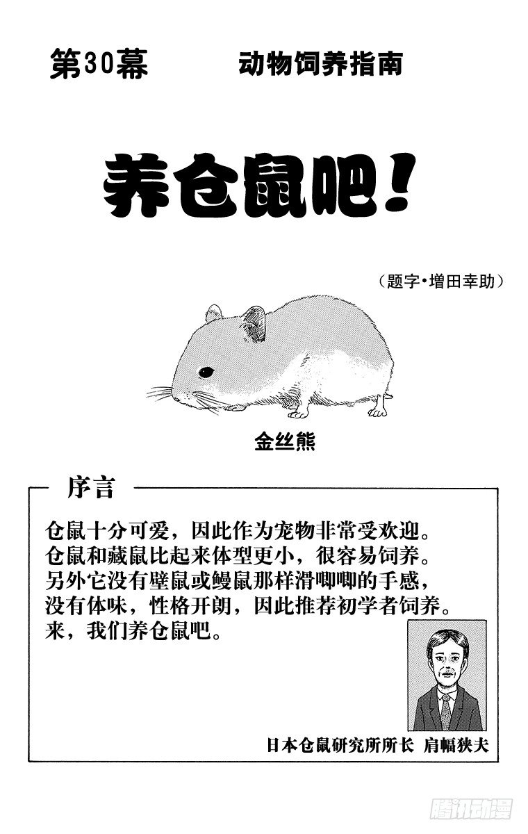 《搞笑漫画日和》第30幕 动物饲养指南 养仓鼠吧 第1页