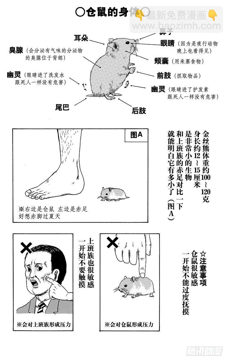 《搞笑漫画日和》第30幕 动物饲养指南 养仓鼠吧 第2页
