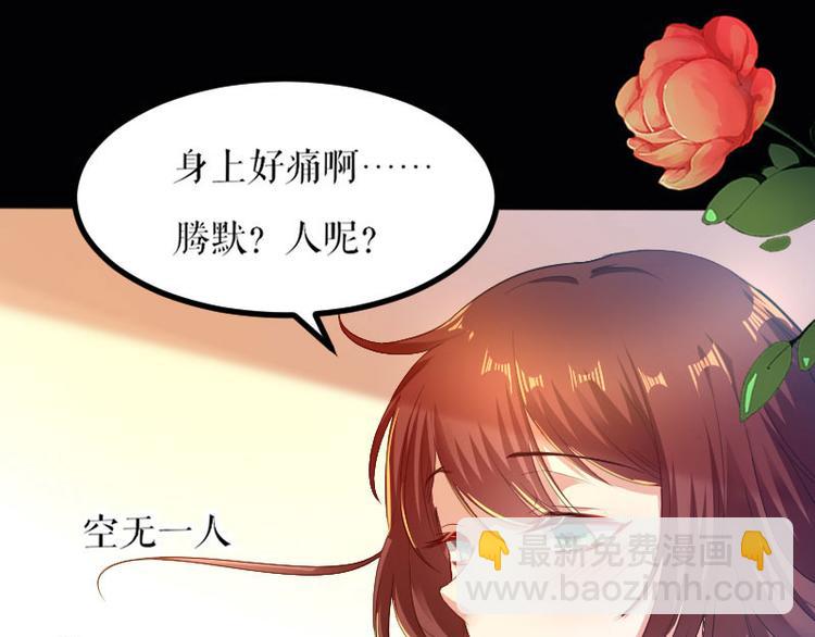 《天才酷宝总裁宠妻太强悍》第1话 阴差阳错 第43页