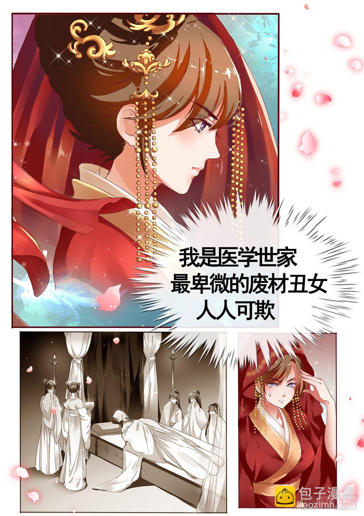 《天才小毒妃（《芸汐传》原作）》序章 第2页