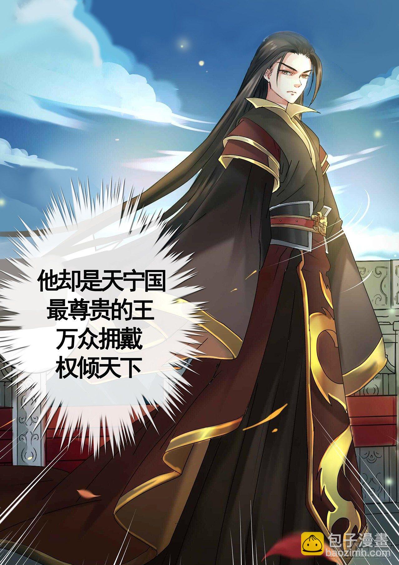《天才小毒妃（《芸汐传》原作）》序章 第3页