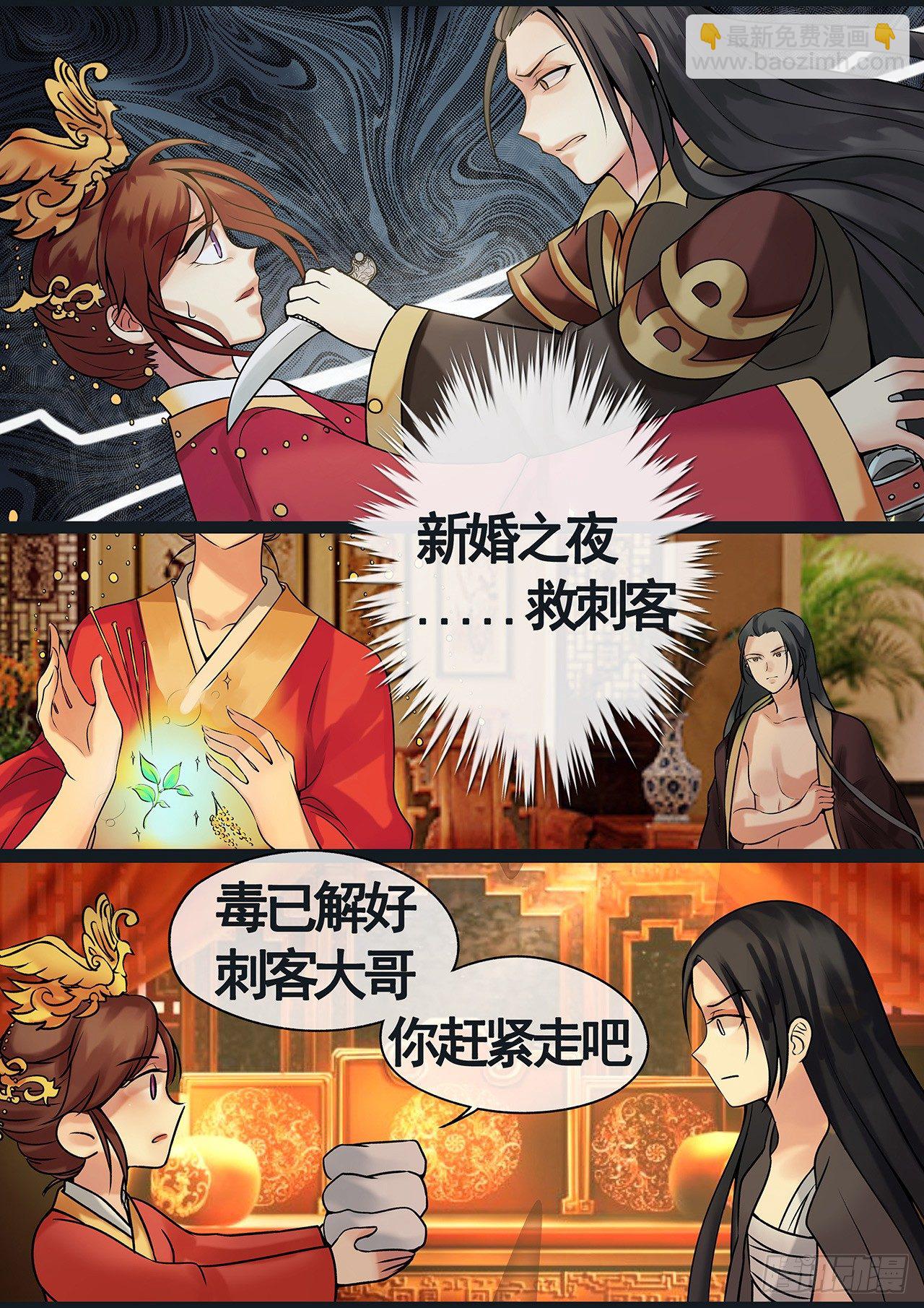 《天才小毒妃（《芸汐传》原作）》序章 第6页