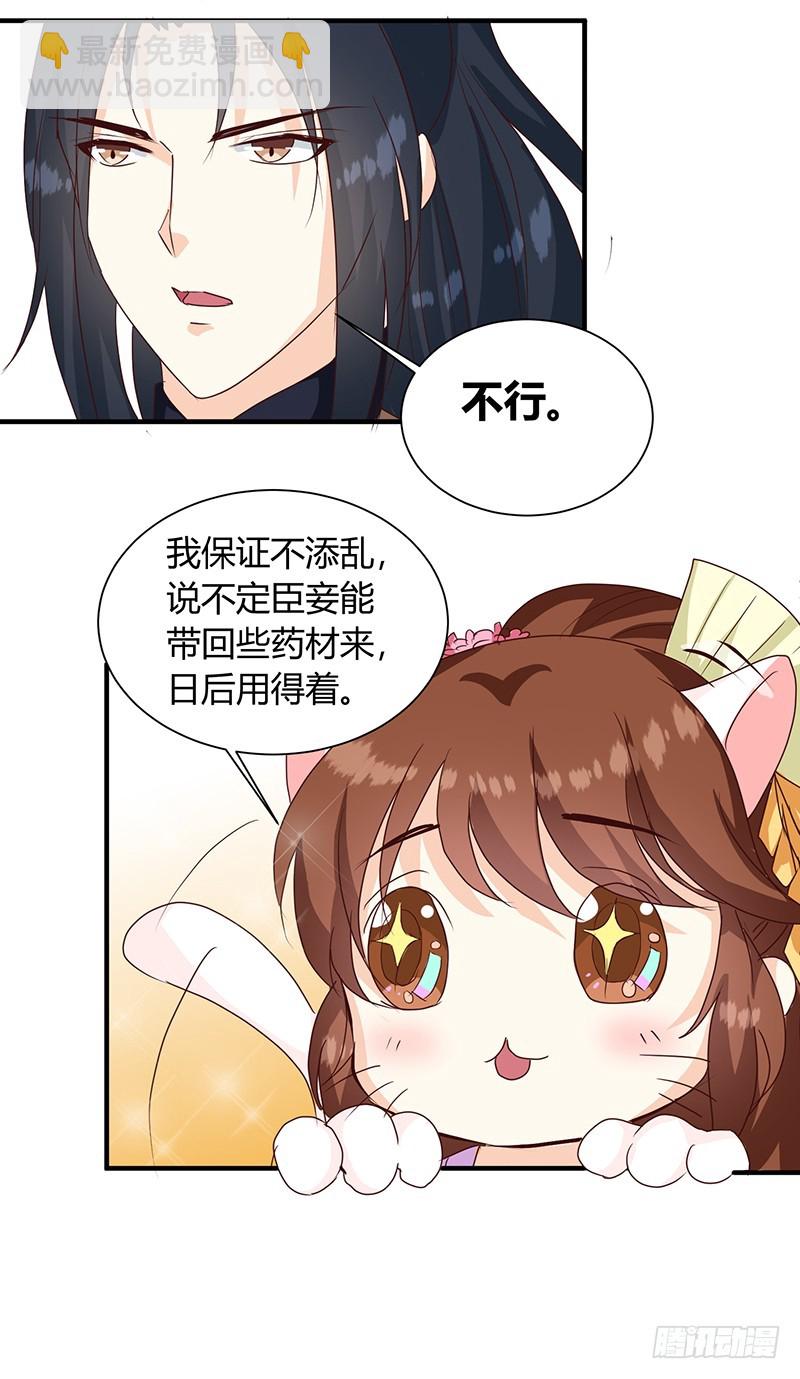 《天才小毒妃（《芸汐传》原作）》第126话 带你去药城 第13页
