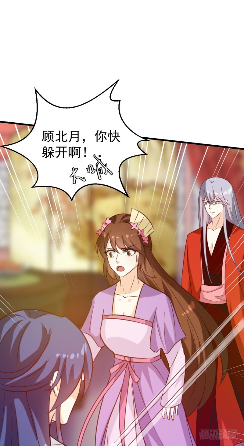 《天才小毒妃（《芸汐传》原作）》第143话 有刺客 第34页