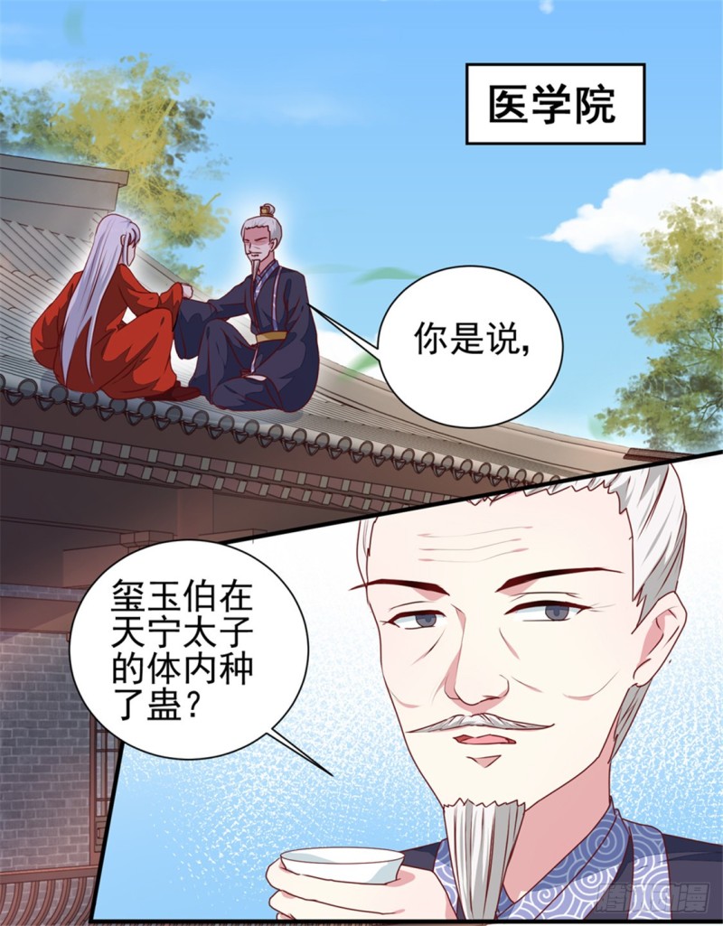 《天才小毒妃（《芸汐传》原作）》第170话 医城、药城 第19页