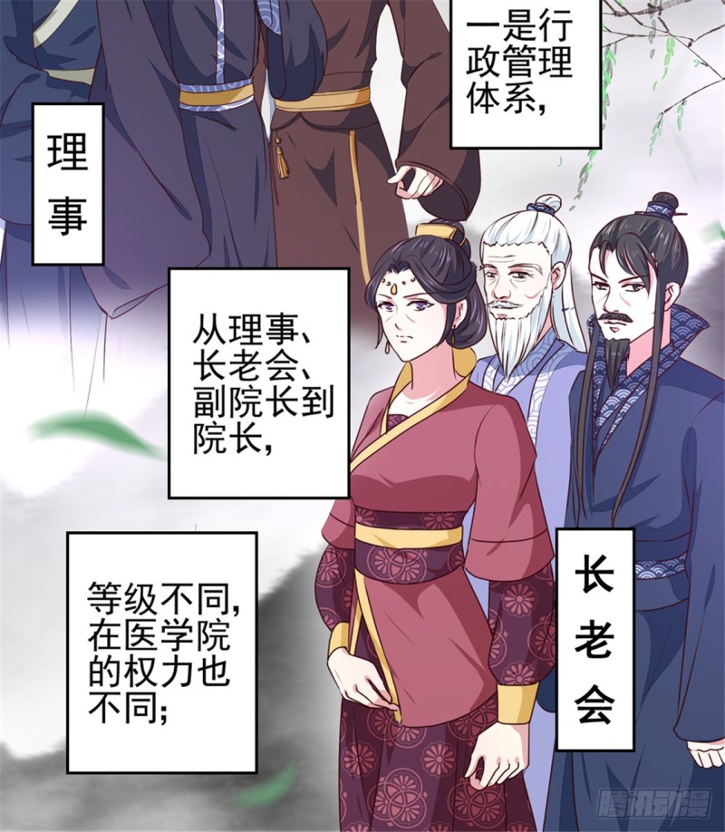 《天才小毒妃（《芸汐传》原作）》第170话 医城、药城 第32页