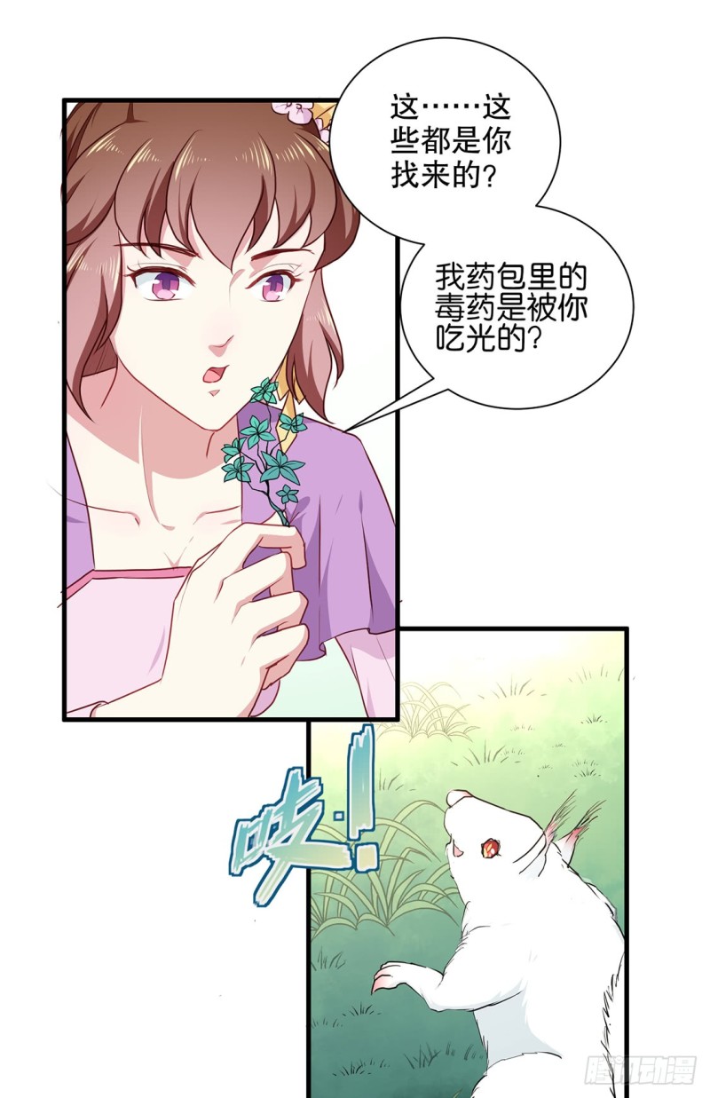 《天才小毒妃（《芸汐传》原作）》第190话 搜捕秦王妃！ 第7页