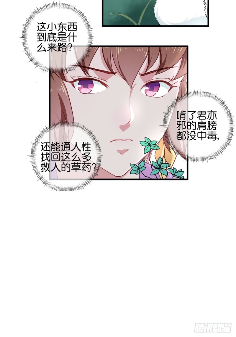 《天才小毒妃（《芸汐传》原作）》第190话 搜捕秦王妃！ 第8页