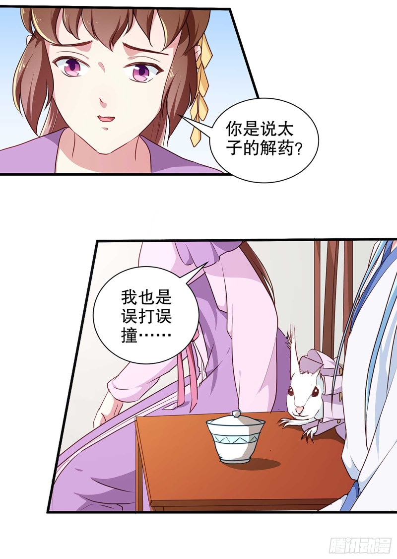 《天才小毒妃（《芸汐传》原作）》第196话 毒草库 第4页