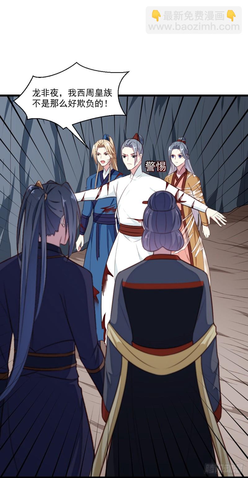 《天才小毒妃（《芸汐传》原作）》第203话 龙飞夜的怀疑 第29页
