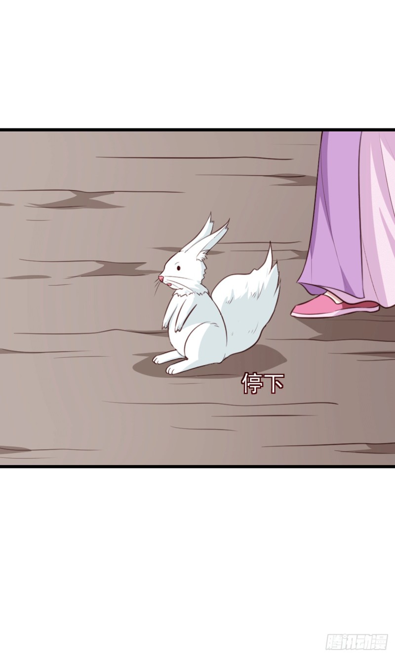 《天才小毒妃（《芸汐传》原作）》第201话 谁说我们输了？ 第15页