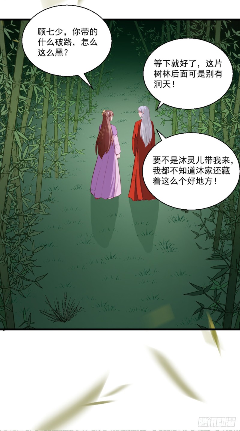 《天才小毒妃（《芸汐传》原作）》第207话 神秘的哑婆婆 第25页