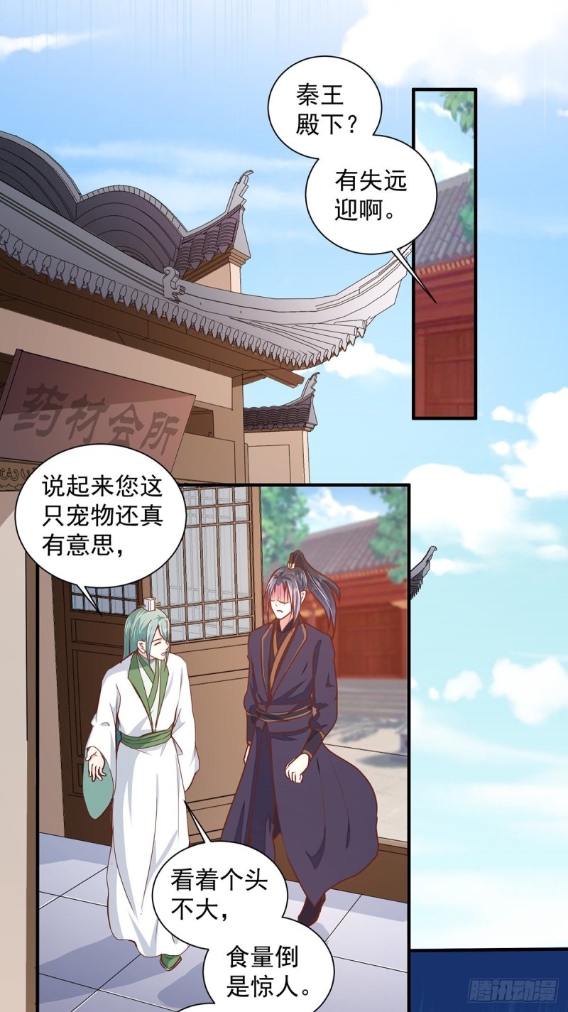 《天才小毒妃（《芸汐传》原作）》第208话 充满谜团的哑婆婆 第8页