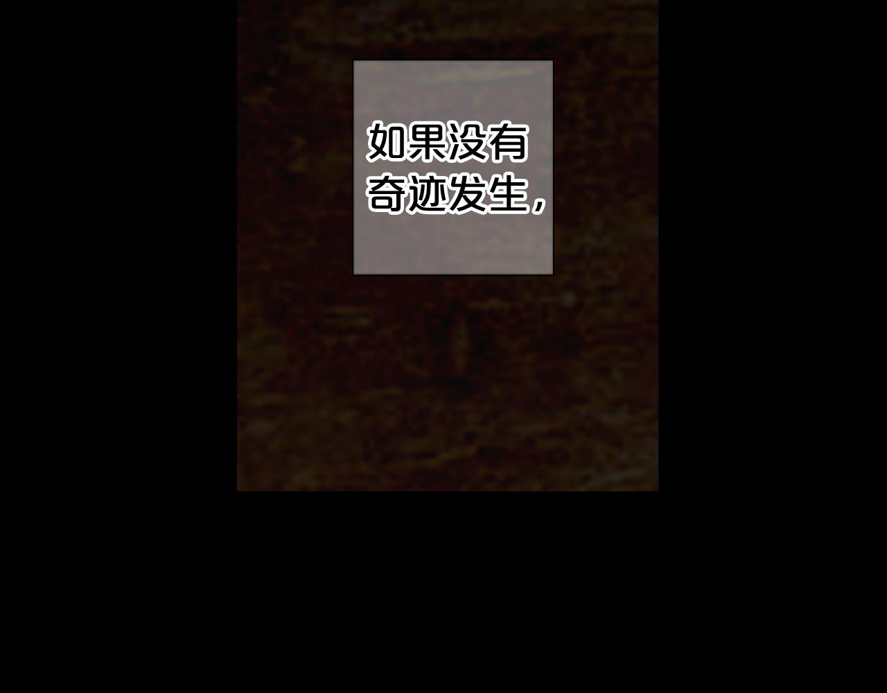 《名花无草——《名花有草》续篇》番外5 迟来的婚礼 第47页