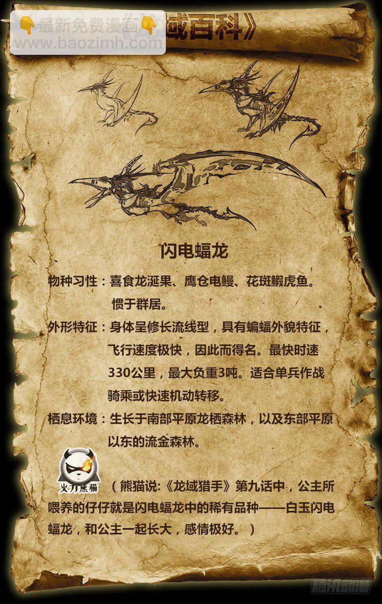 《龙域猎手》010 皆由天定 第13页