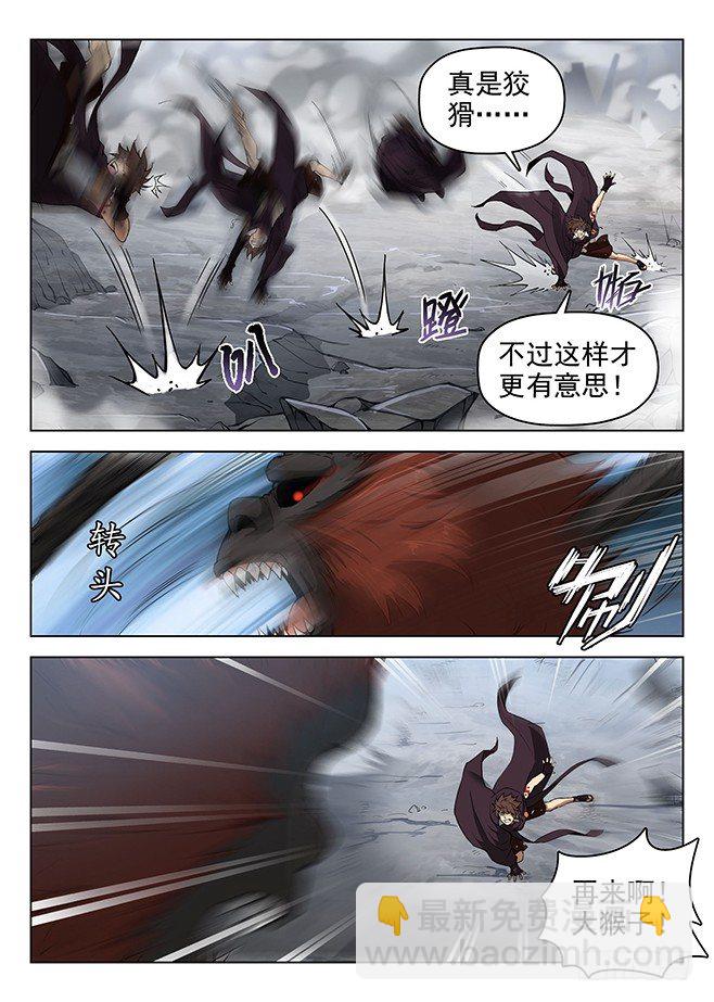 《龙域猎手》163 阵锁狂猿 第4页