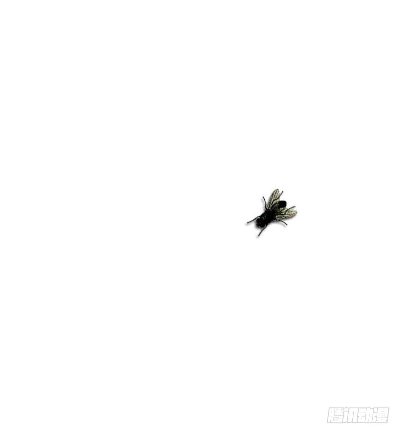 《纹阴师》第154话 文莹蚊蝇 第50页