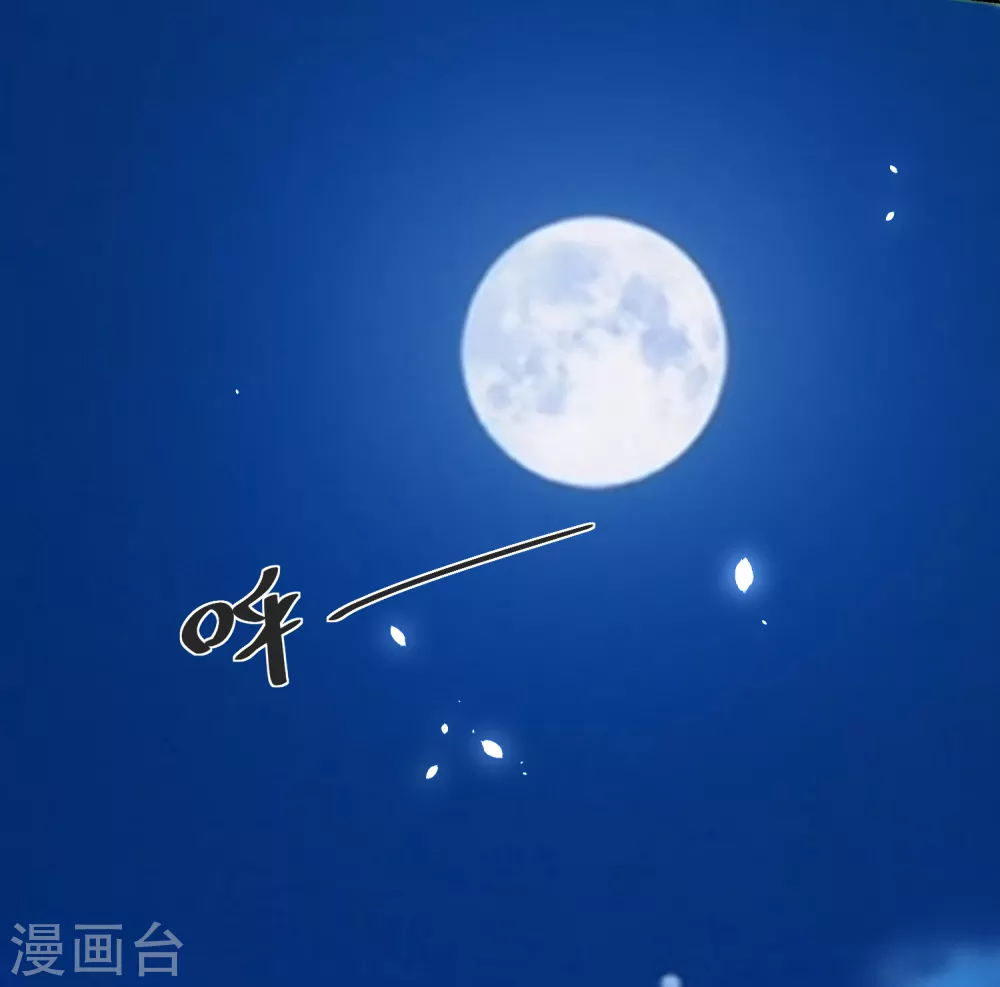 《农女殊色》第175话 孙大夫的感慨 第12页