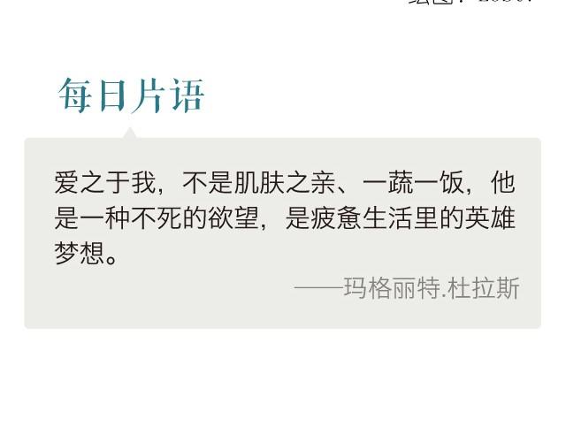 《每日片语》爱是欲望 第2页