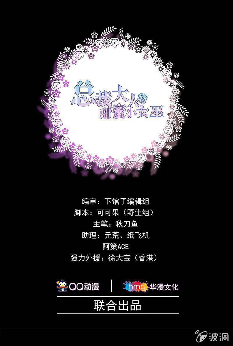 《总裁大人的甜蜜小女巫》破坏阵法 第1页