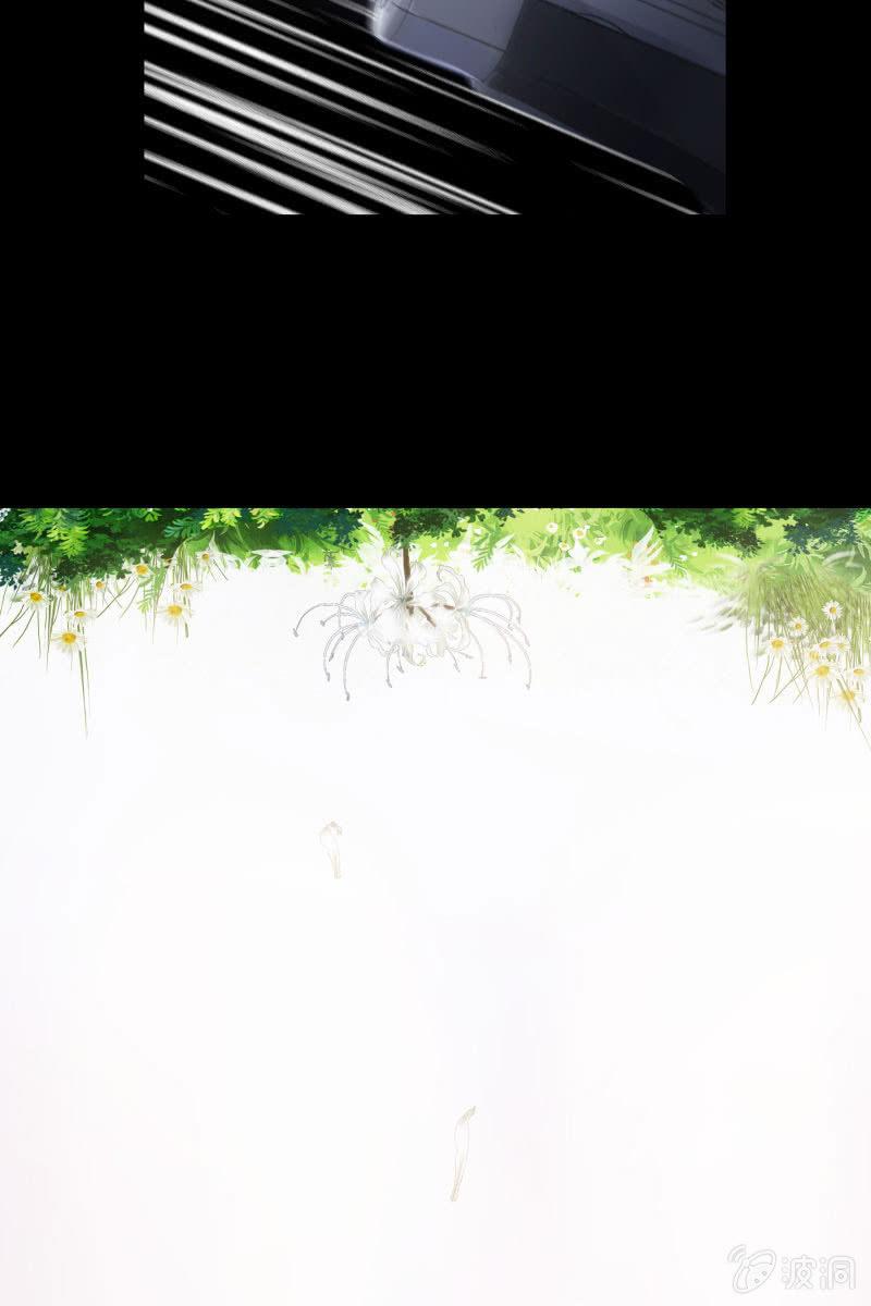 《总裁大人的甜蜜小女巫》这一次，我不会离开你 第11页