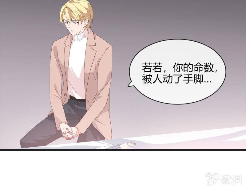 《总裁大人的甜蜜小女巫》命数 第5页
