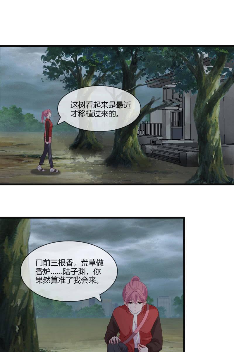 《总裁大人的甜蜜小女巫》入阵 第3页