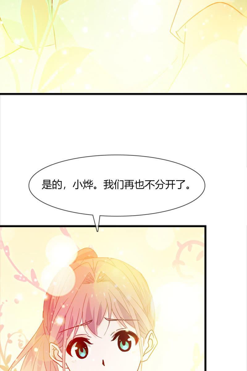 《总裁大人的甜蜜小女巫》一切都该结束了吧 第24页