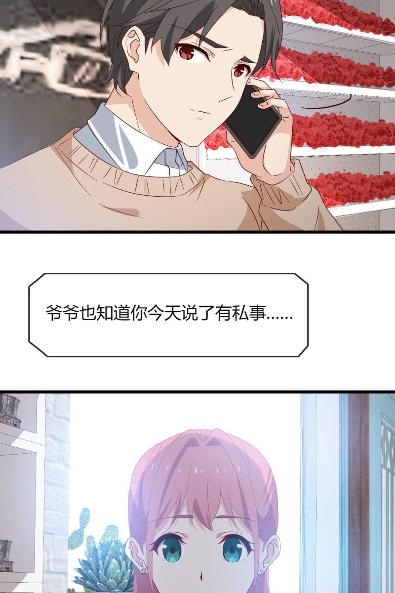 《总裁大人的甜蜜小女巫》婚约 第20页