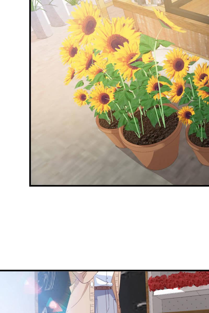 《总裁大人的甜蜜小女巫》婚约 第31页