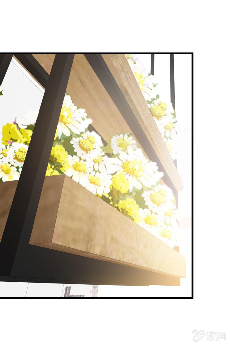 《总裁大人的甜蜜小女巫》婚约 第33页