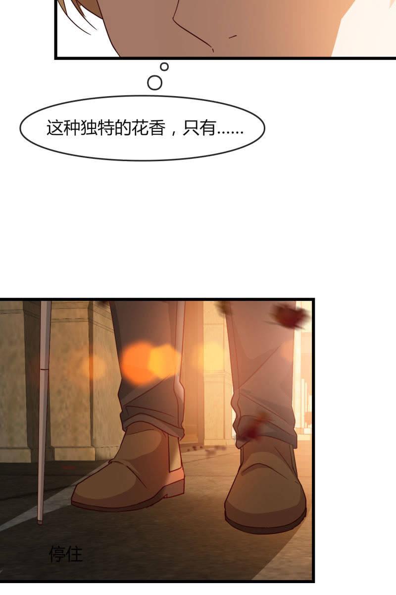 《总裁大人的甜蜜小女巫》花语 第11页