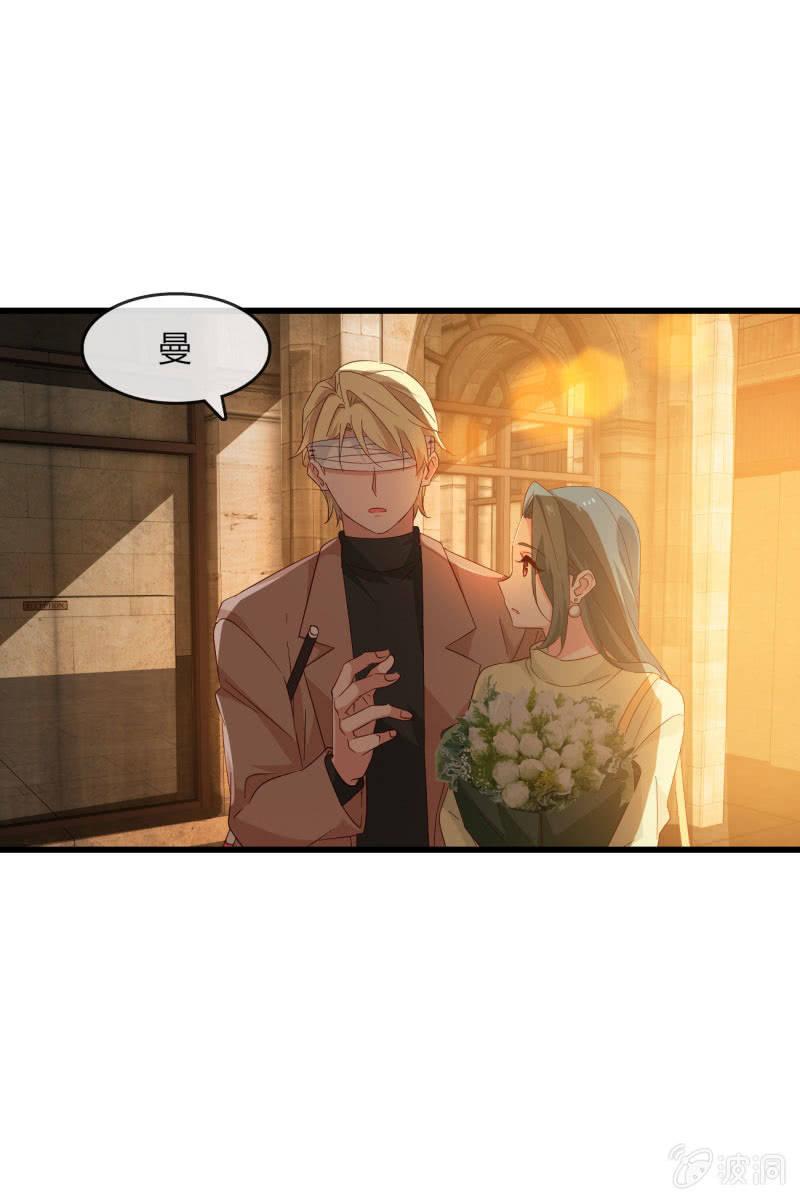 《总裁大人的甜蜜小女巫》花语 第13页