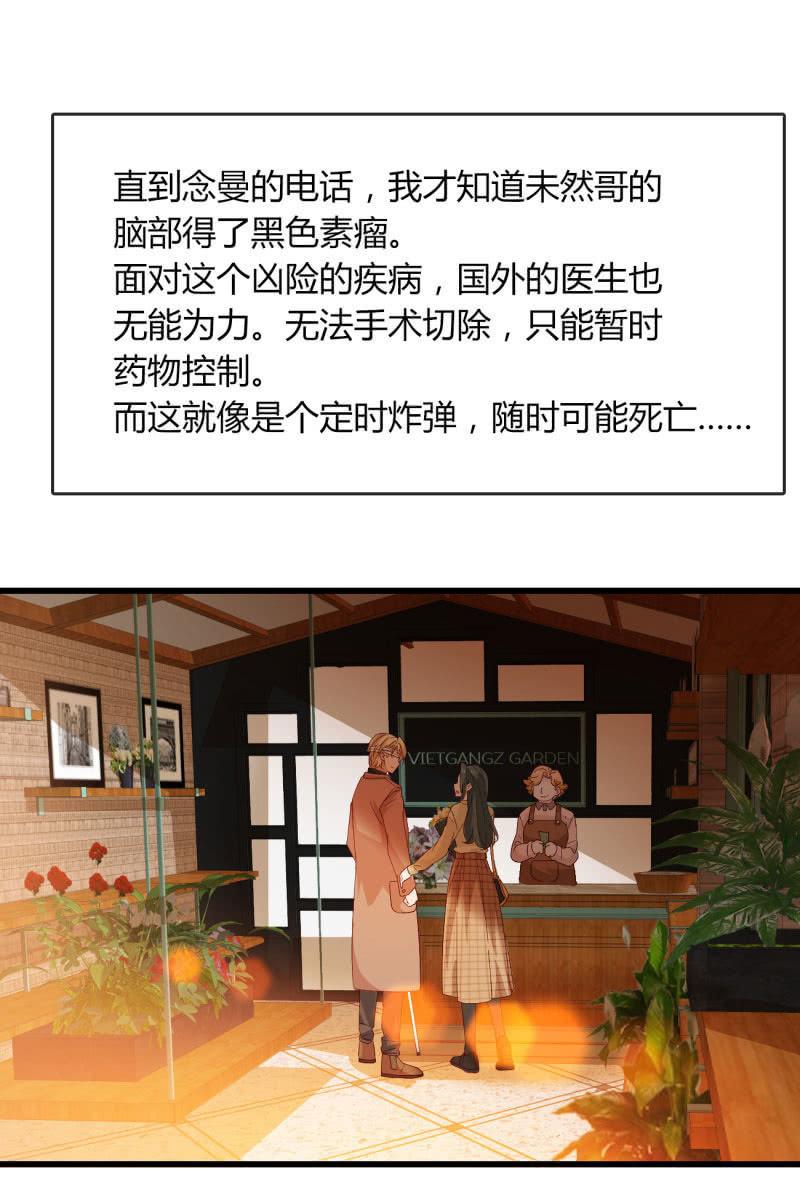 《总裁大人的甜蜜小女巫》花语 第2页