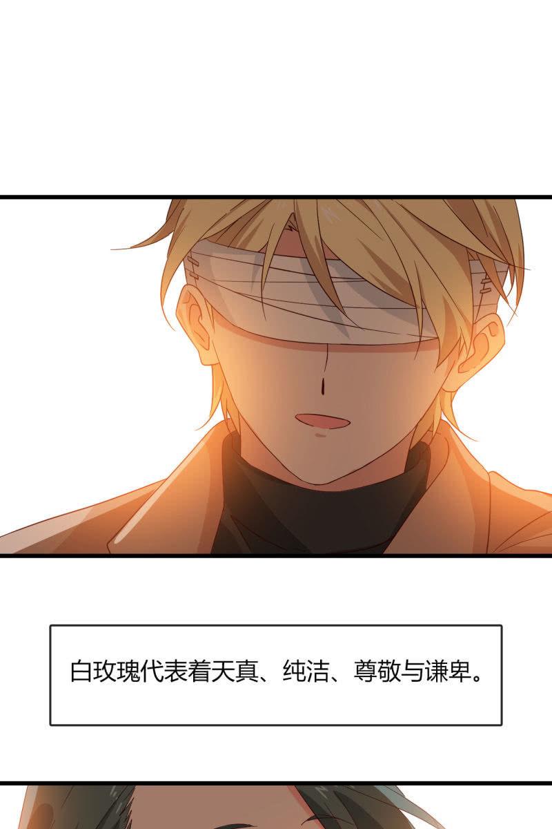 《总裁大人的甜蜜小女巫》花语 第34页