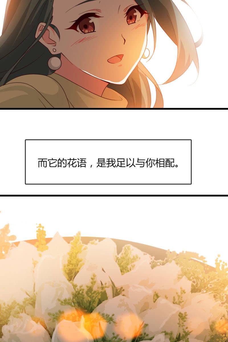《总裁大人的甜蜜小女巫》花语 第35页