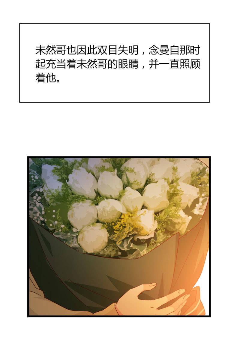 《总裁大人的甜蜜小女巫》花语 第3页